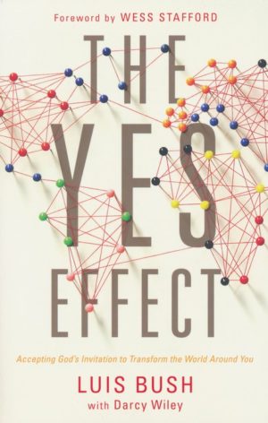 Luis Bush, Darcy Wiley - The Yes Effect