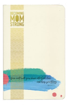 Heidi St. John - Becoming MomStrong Journal