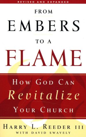 Dave Swavely - From Embers to a Flame