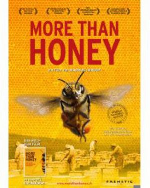 More Than Honey (DVD)