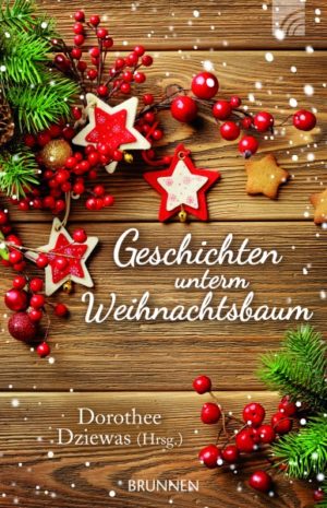 Dorothee Dziewas - Geschichten unterm Weihnachtsbaum