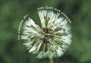 Postkarten: Pusteblume - Ich wünsche dir, was Gott sich wünscht