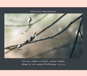 Faltkarten: Herzliche Anteilnahme - Sei nur Stille... (5 Stück)