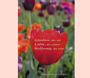 Faltkarte: Geburtstag - Glauben, der sät Liebe