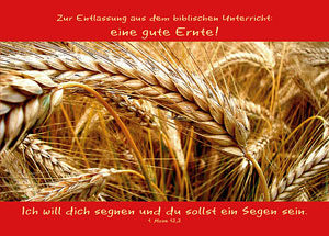 Faltkarten: ... eine gute Ernte (5Stück)