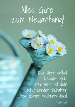 Faltkarte: Alles Gute zum Neuanfang (5 Stk)