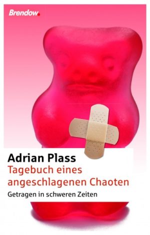 Adrian Plass - Tagebuch eines angeschlagenen Chaoten