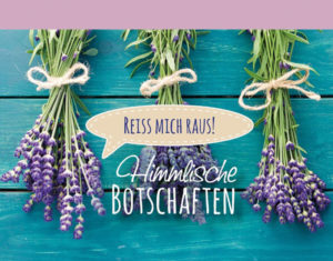 Irmtraut Fröse-Schreer - Reiss mich raus! Himmlische Botschaften 1 Lavendel