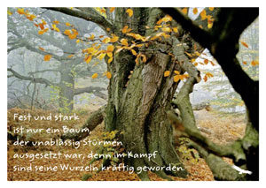 Postkarte: Fest und stark ist nur ein Baum