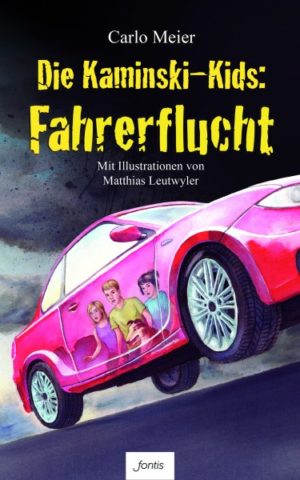 Carlo Meier - Die Kaminski-Kids 16: Fahrerflucht
