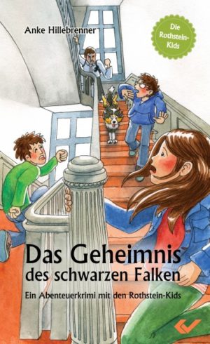 Anke Hillebrenner - Das Geheimnis des schwarzen Falken