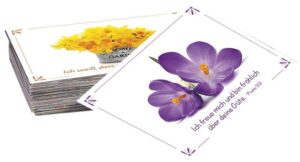 Neujahrslose Blumen (100 Kärtchen)