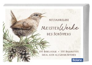 Neujahrslose Meisterwerke (100 Kärtchen)
