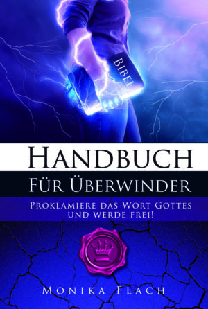 Monika Flach - Handbuch für Überwinder (Neuauflage)