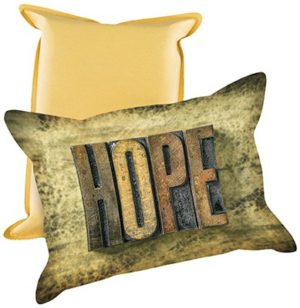 Microfaser-Scheibenschwamm: Hope