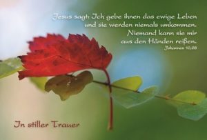 Faltkarte-Trauer: Ich gebe ihnen das ewige Leben