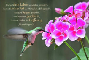 Faltkarte: Du bist zum Segen geworden (Kolibri)