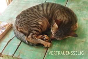 Leinwand: Vertrauensselig