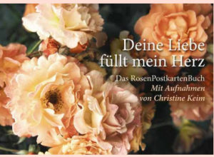Postkartenbuch: Deine Liebe füllt mein Herz