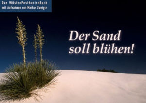 Markus Zweigle - Der Sand soll blühen!