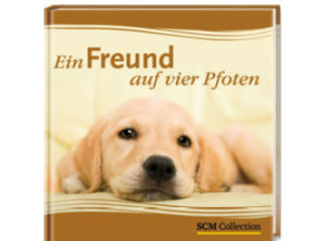 Ein Freund auf vier Pfoten