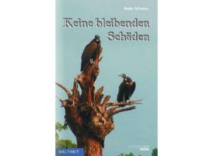 Heiko Schwarz - Keine bleibenden Schäden: Missionsbericht