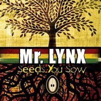 Mr. Lynx - Seeds You Sow
