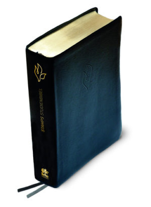 Donald Stamps - STAMPS Studienbibel (Leder schwarz)