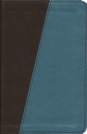 Message: MES-Compact Bible - Teal and Brown Python