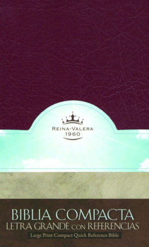 Santa Biblia (Red, hardback)