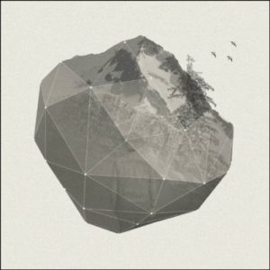 Andrew Marcus - Constant
