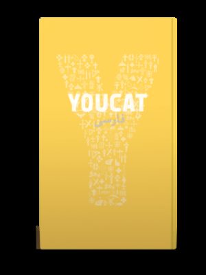 Bernhard Meuser - YOUCAT (Persisch-Farsi)