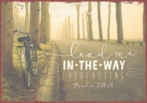 Metallschild: Lead me in the way