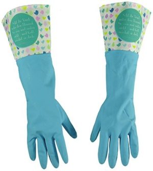 Handschuhe: Seht die Vögel unter dem Himmel...
