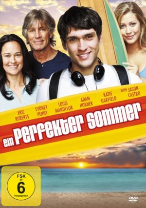 Ein perfekter Sommer (DVD)