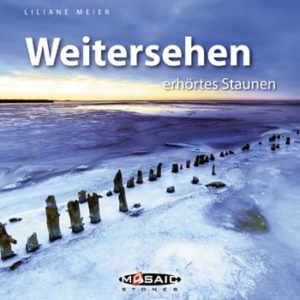 Liliane Meier - Weitersehen: erhörtes Staunen