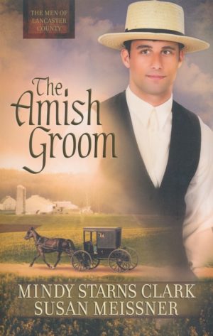 Mindy Starns Clark, Susan Meissner - Men of Lancaster County 1: The Amish Groom