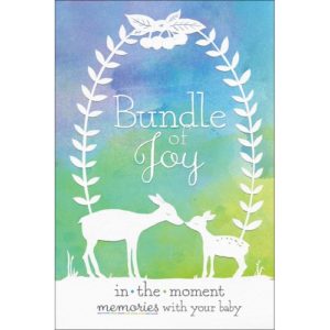 Bundle of Joy: In-the-Moment Memories with Your Baby