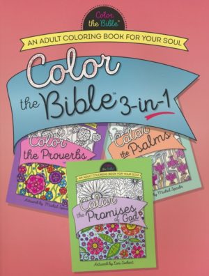 Michal Sparks, Lori Siebert - Color the Bible: 3-in-1