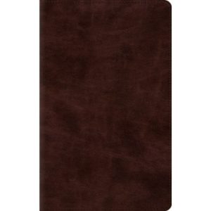 ESV Thinline Bible: TruTone Imitation Leather