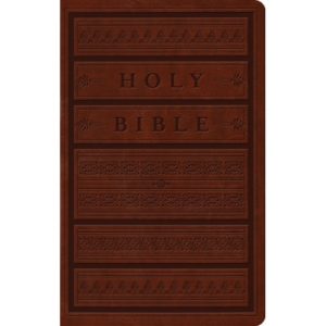 ESV - Large Print Personal Size Bible