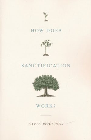 David Powlison - How Does Sanctification Work?