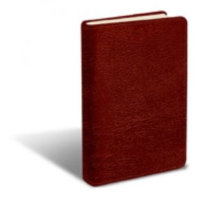 Eugene Peterson - The Message: Large Print Edition, Burgundy Leather-look