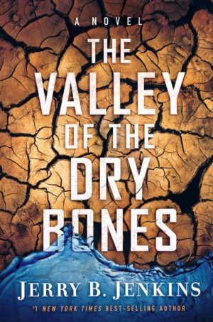 Jerry B. Jenkins - The Valley of the Dry Bones