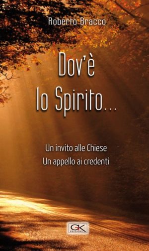 Roberto Bracco - Dov'è lo Spirito