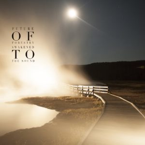 Future of Forestry - Awakened To The Sound