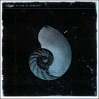 Future-of-Forestry-Twilight