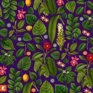 Kings Kaleidoscope - Becoming Who We Are