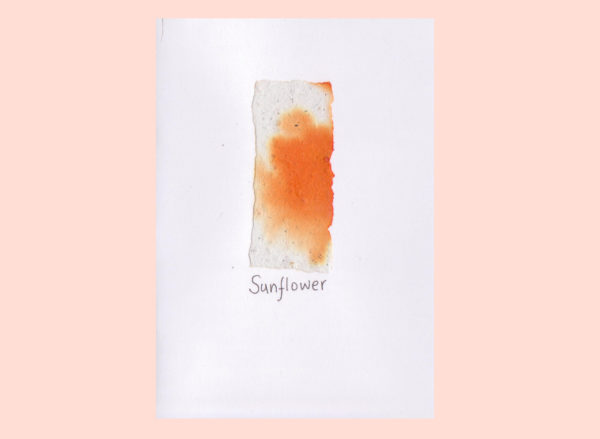 el-refugio-sunflower