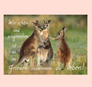 Postkarten: Wie schön und angenehm ist es in Frieden (8 Stück)
